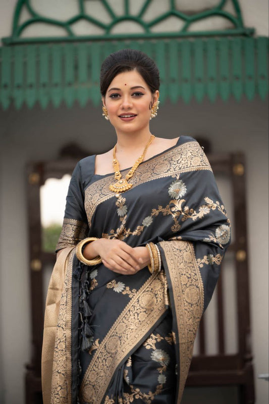 Black Banarasi Katan Silk Saree