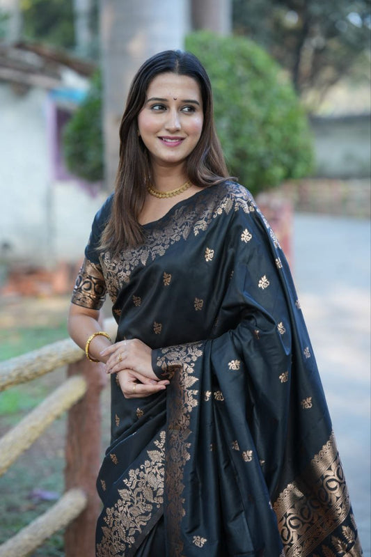 Black Banarasi Silk Saree