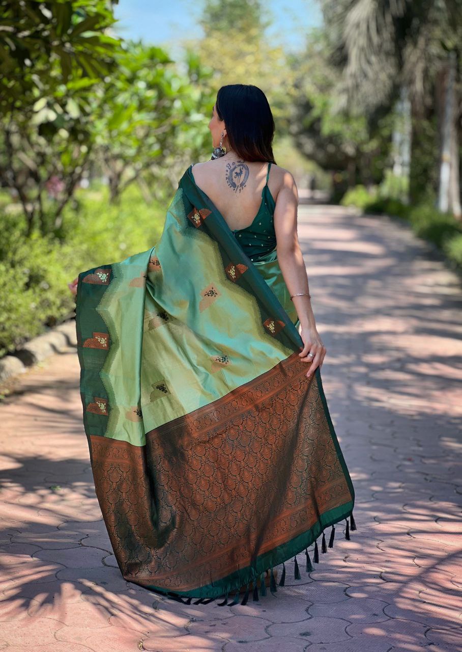 Pista Kanjivaram Pattu Zari Silk Saree