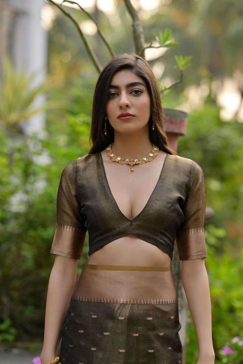 Traditional Kalyani Silk Saree