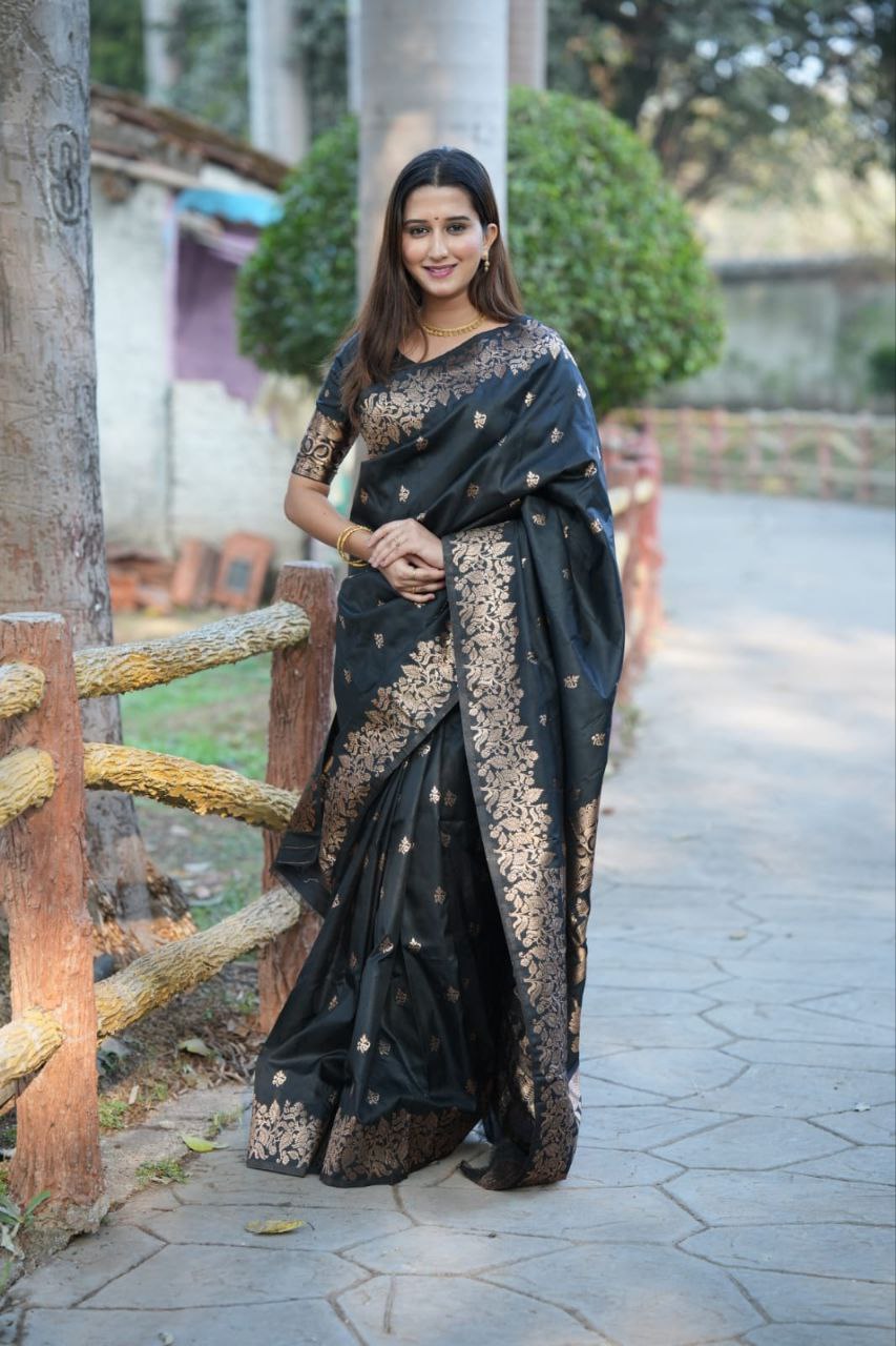 Black Banarasi Silk Saree