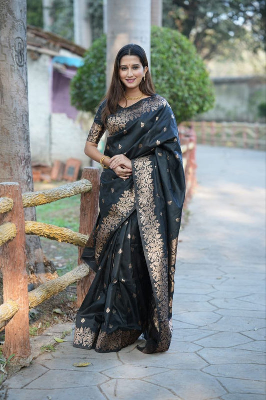 Black Banarasi Silk Saree