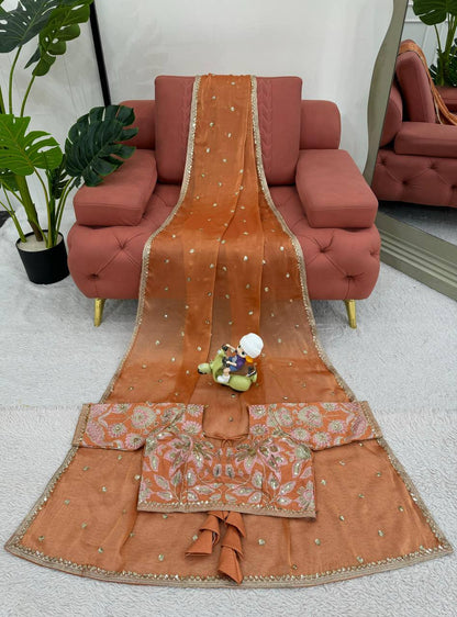 Bollywood Party Wear Jimmy Choo Silk Saree