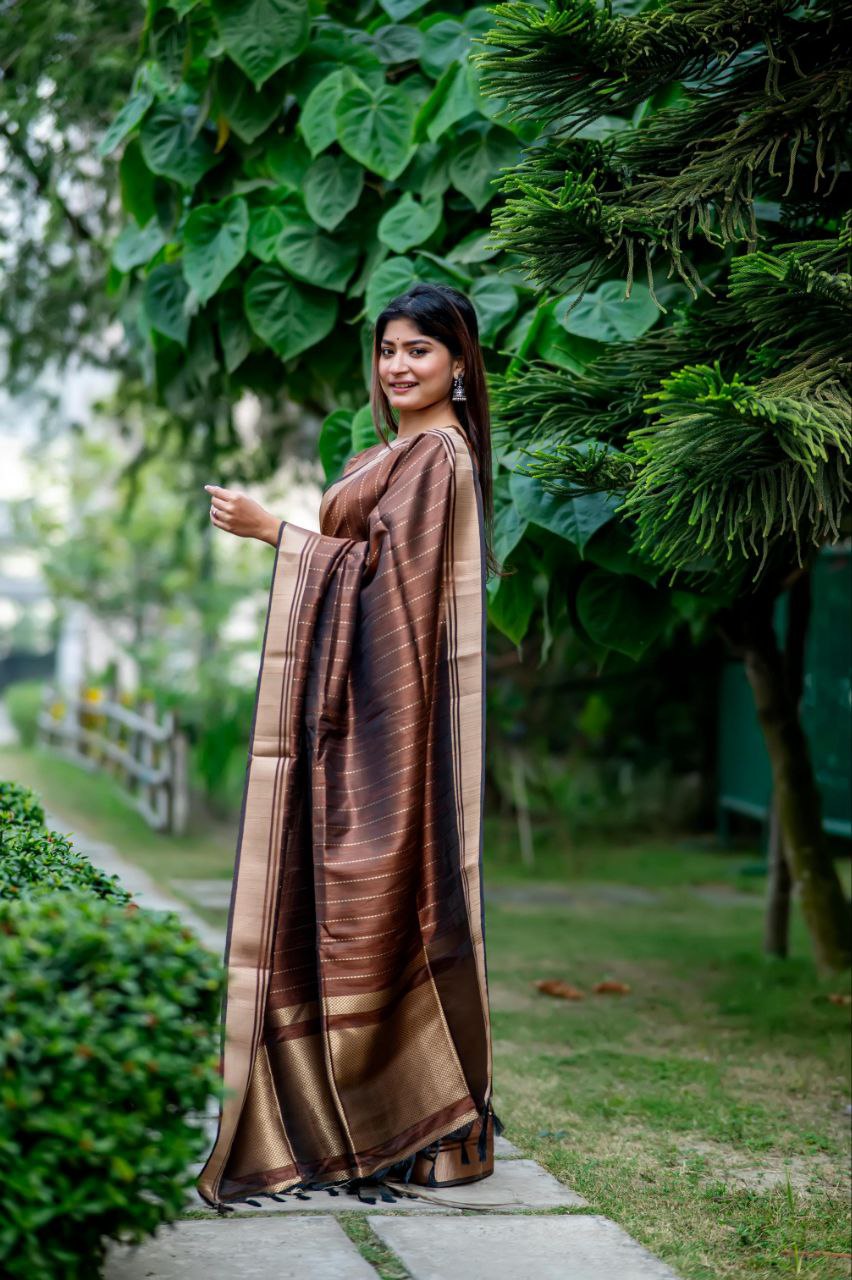 Brown Banarasi Raw Silk Saree