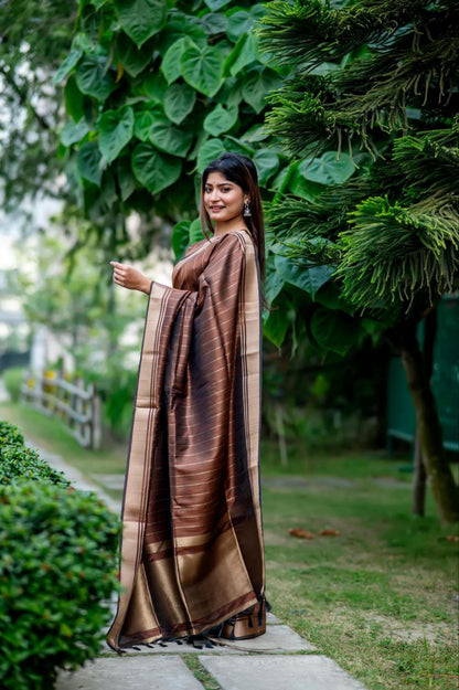 Brown Banarasi Raw Silk Saree