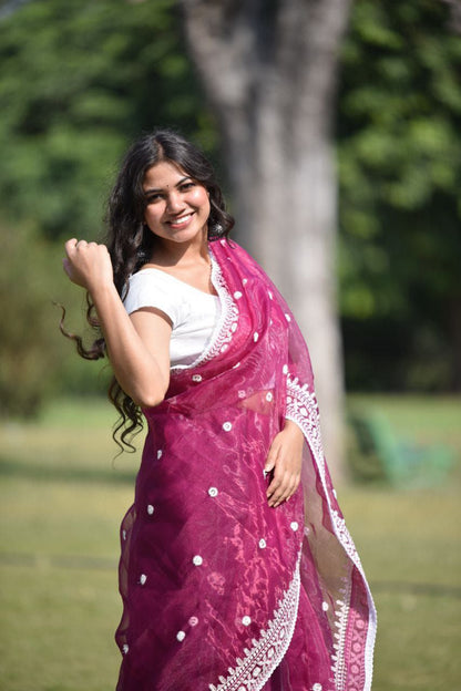 Designer Stylish Organza Saree