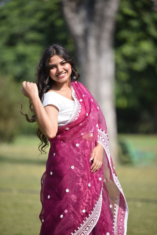 Designer Stylish Organza Saree