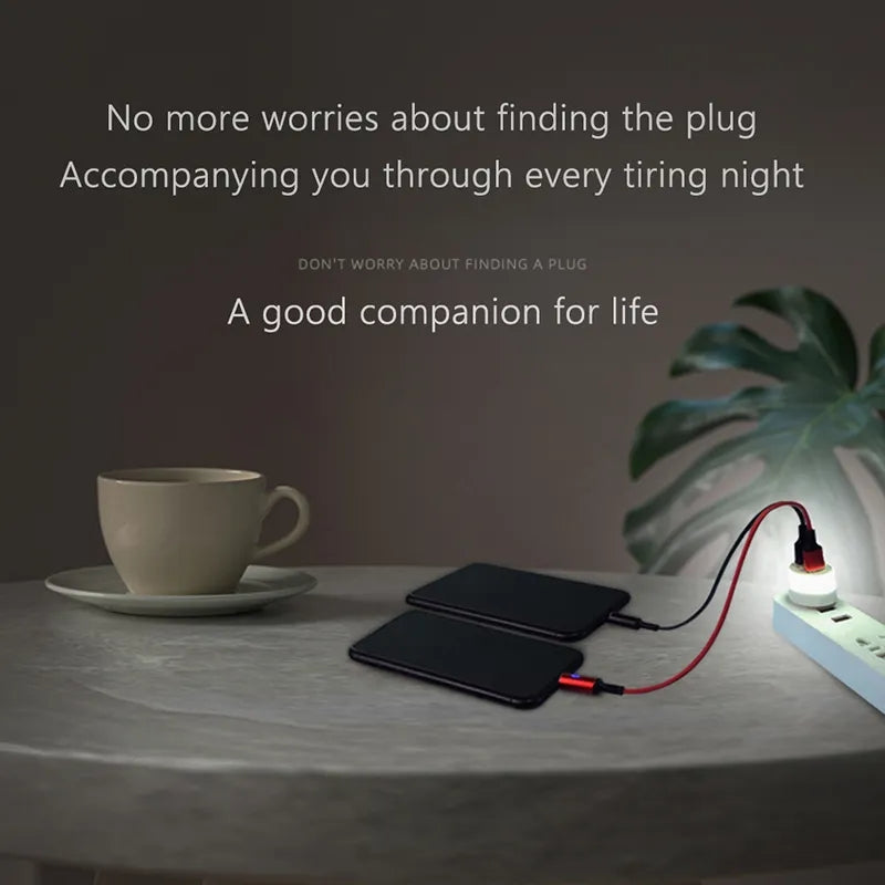 USB light with mobile charger