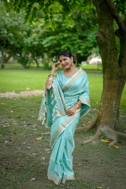 Ocean Banarasi Raw Silk Saree