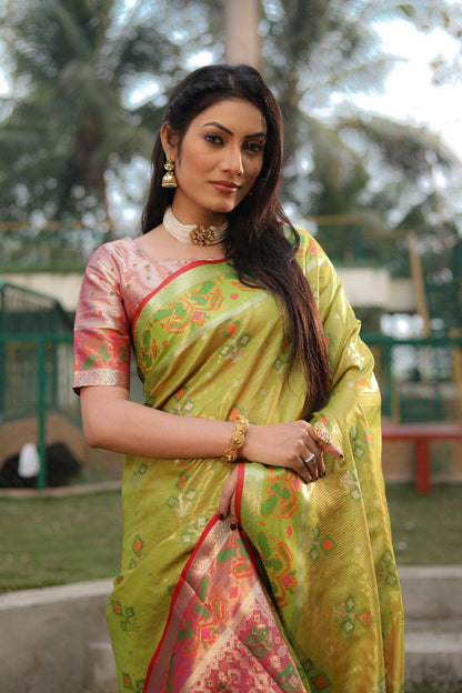 Olive Traditional Organza Silk Saree