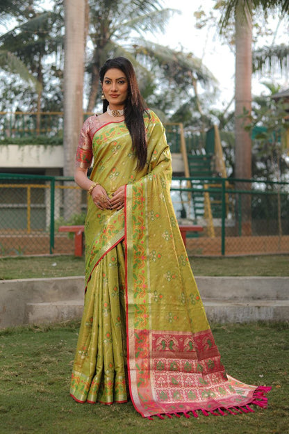Olive Traditional Organza Silk Saree
