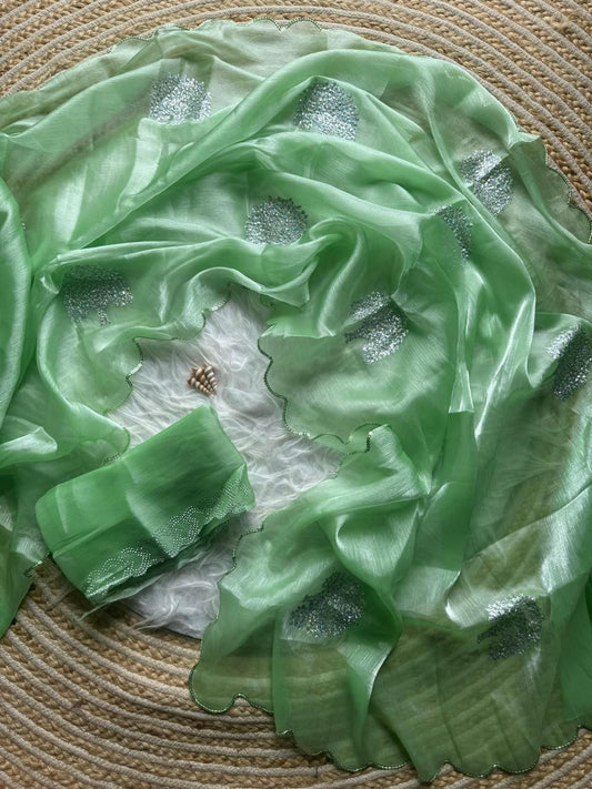 Parrot Zimmy Choo Shimmer Tissue Saree