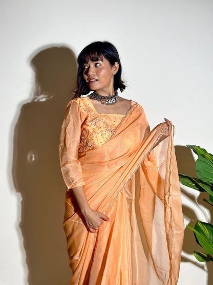 Pastel Orange Tabby Organza Silk Saree