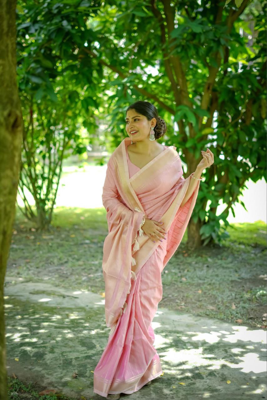 Pink Banarasi Raw Silk Saree