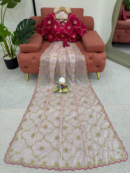 Pink Designer Zimmy Choo Saree