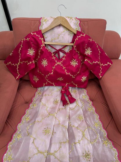 Pink Designer Zimmy Choo Saree