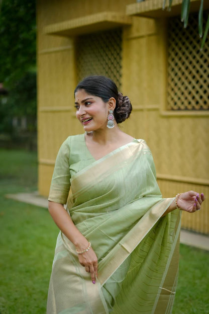 Pista Banarasi Raw Silk Saree