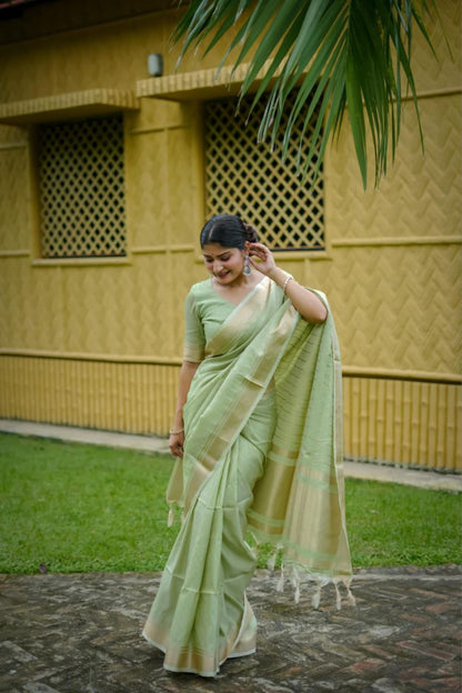 Pista Banarasi Raw Silk Saree