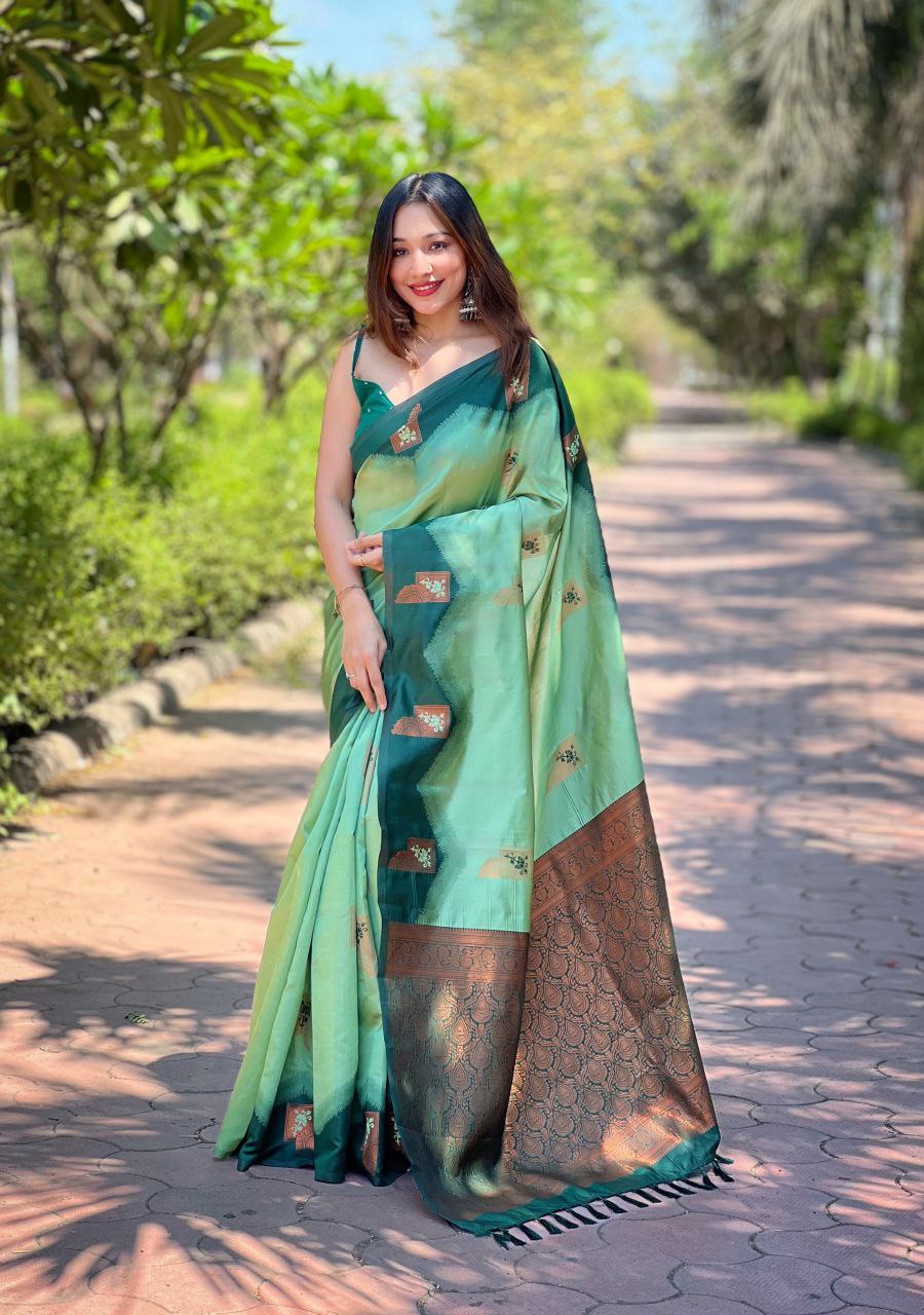 Pista Kanjivaram Pattu Zari Silk Saree