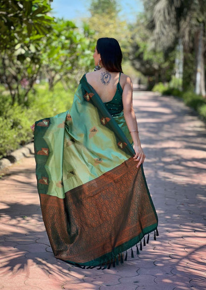 Pista Kanjivaram Pattu Zari Silk Saree