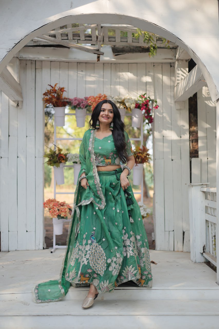 Ram New Designer Lehenga Choli