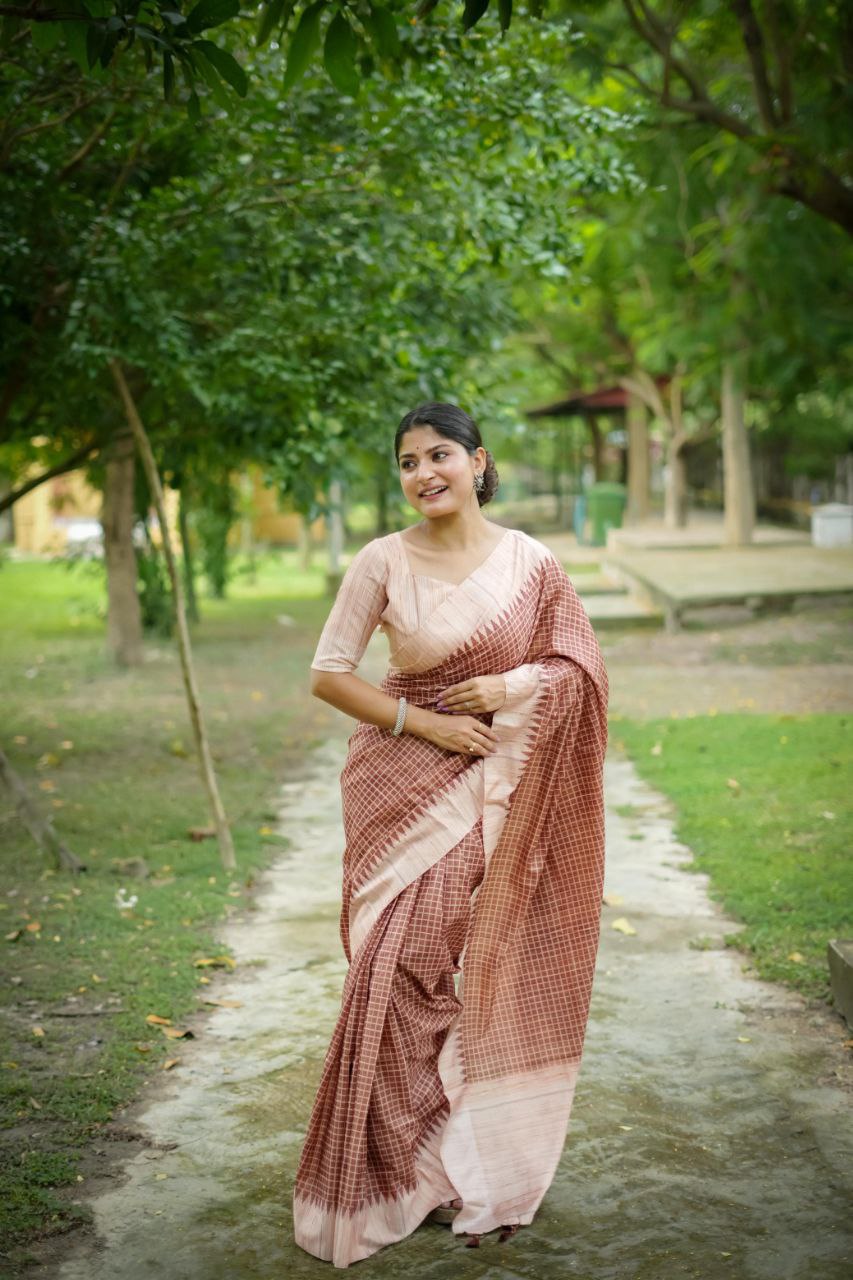 Traditional Tussar Silk Saree