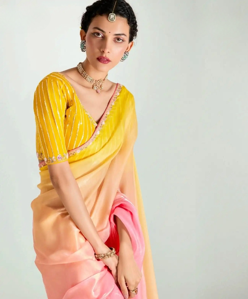 Stylish Organza Saree With Blouse | 100% Original Saree