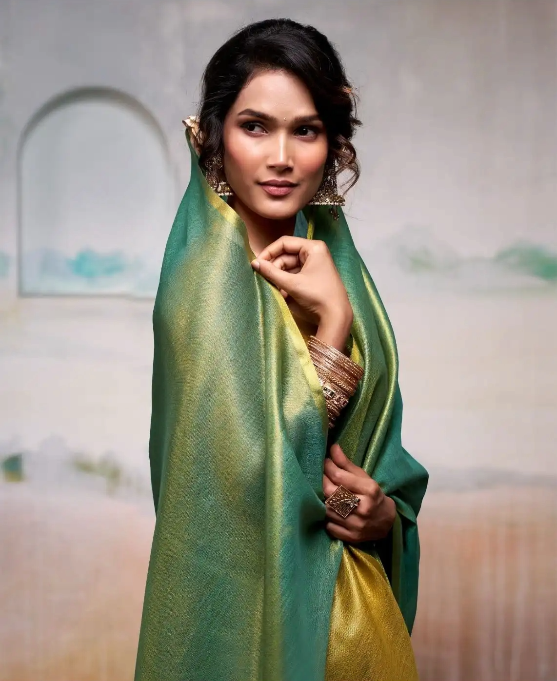 Stylish Pure Handloom Tissue Silk Saree