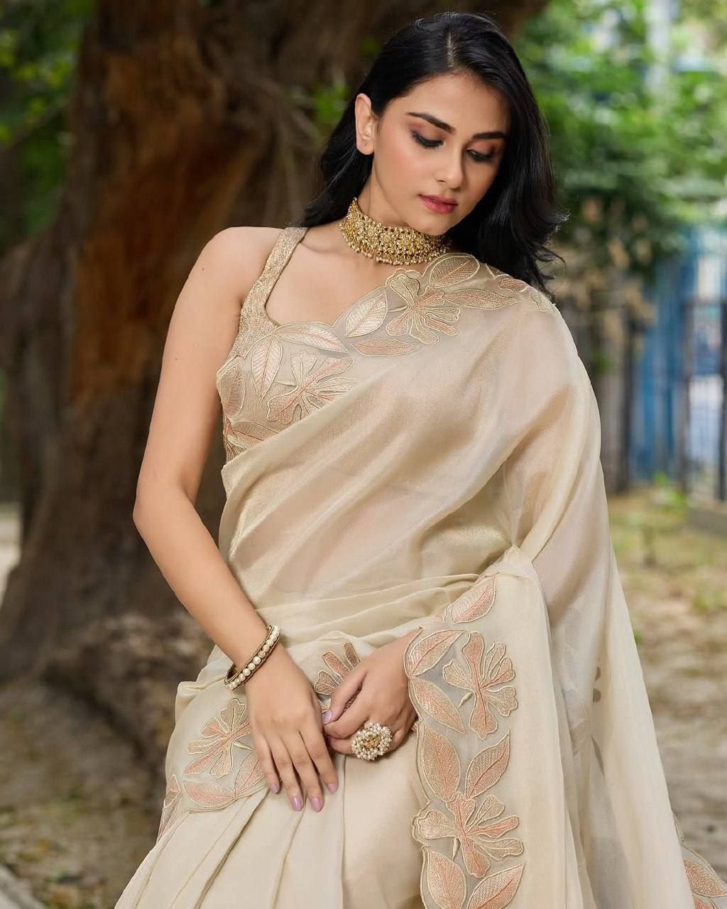Stylish Tissue Organza Saree