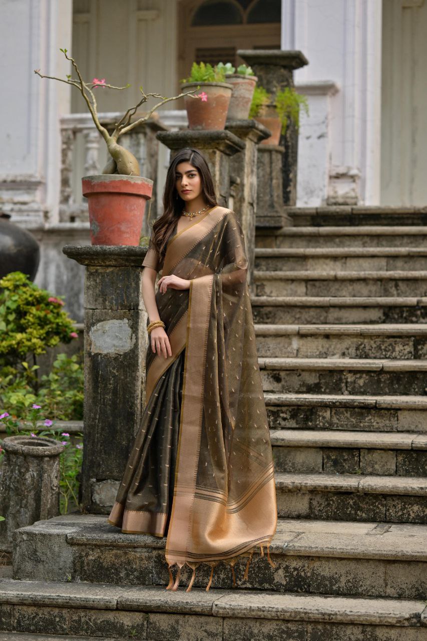Traditional Kalyani Silk Saree