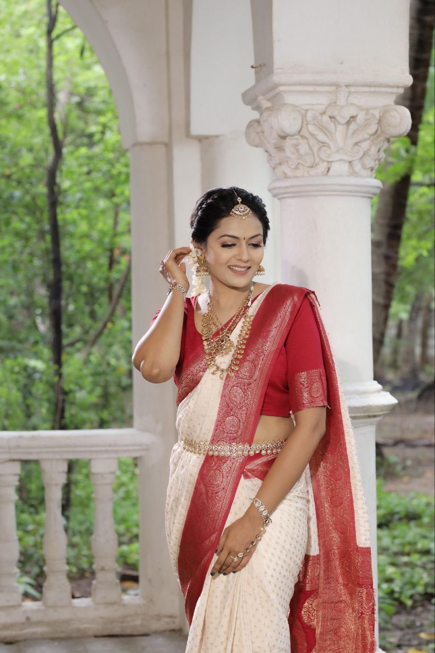 Traditional Khadee Georgette Silk Saree