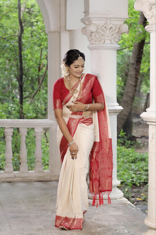 Traditional Khadee Georgette Silk Saree