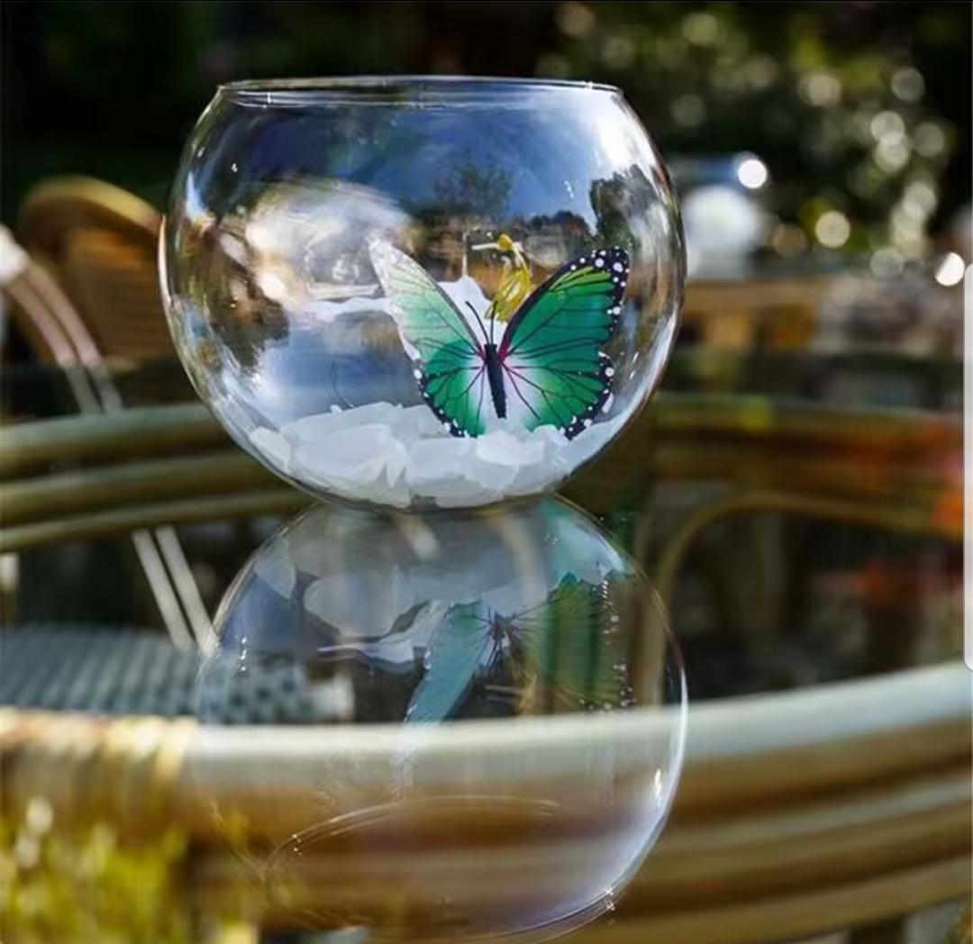 pack 12 3D Butterfly