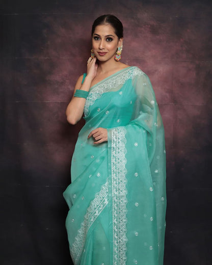 Sky Designer Organza Saree
