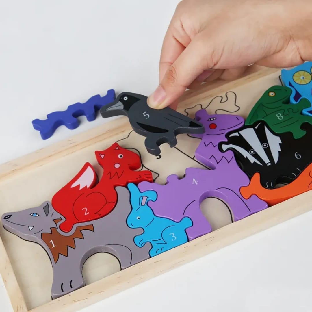 Educational Toys